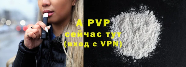 ешки Арсеньев