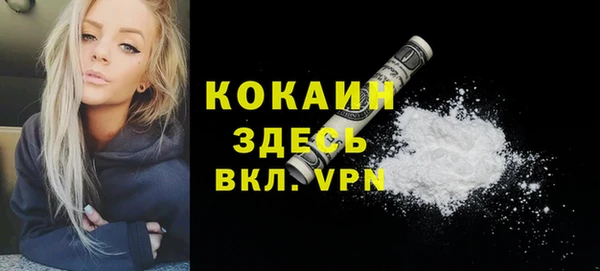 ешки Арсеньев