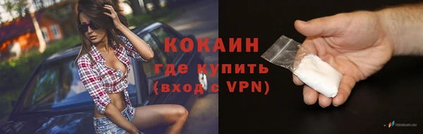 ешки Арсеньев