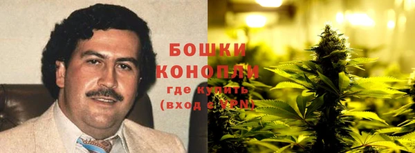 ешки Арсеньев